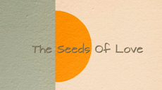 Seeds of Love